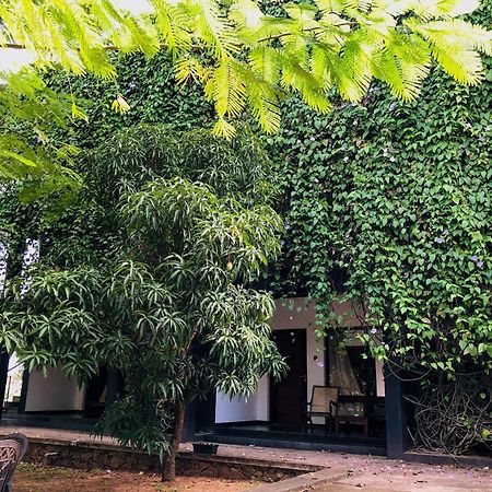 Dambulla Rock Arch Bed and Breakfast Eksteriør billede