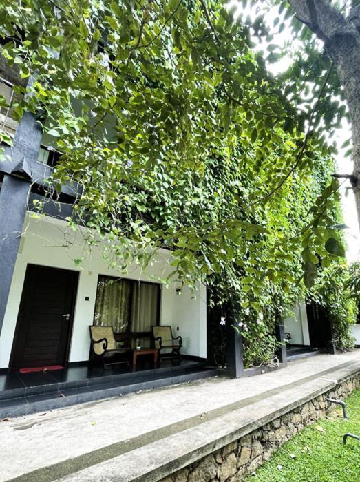 Dambulla Rock Arch Bed and Breakfast Eksteriør billede