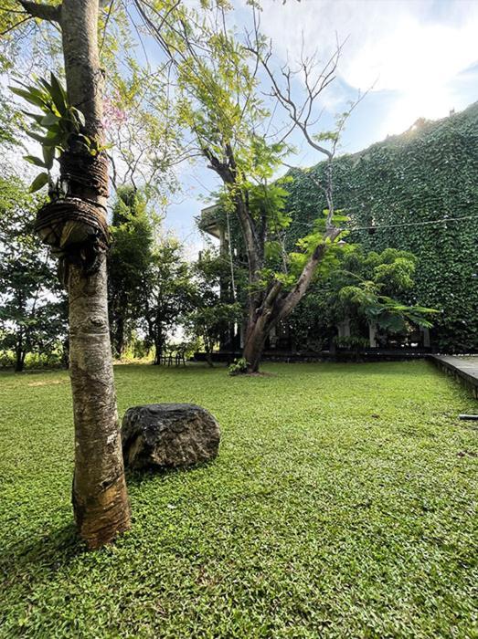 Dambulla Rock Arch Bed and Breakfast Eksteriør billede